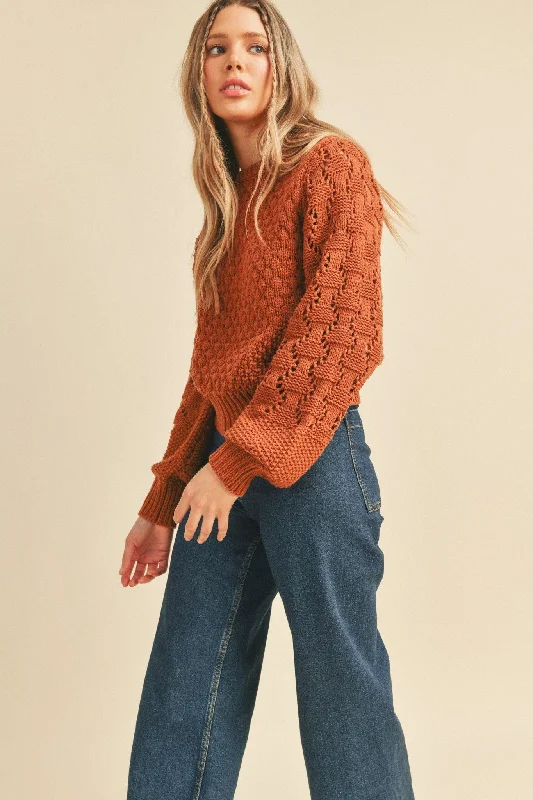 Exclusive Deal Brick Brown Mixed Pointelle Puff Sleeve Sweater