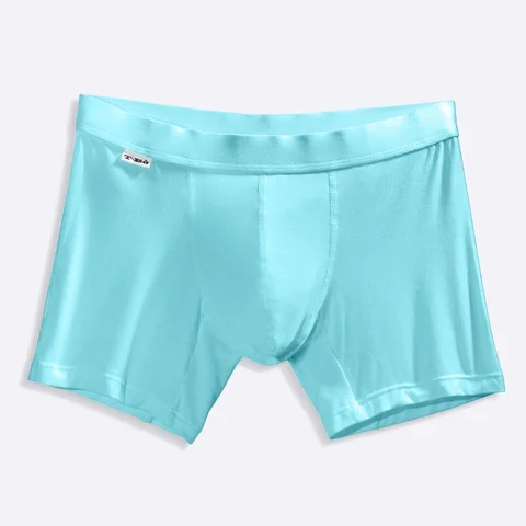 The Island Paradise Boxer Brief